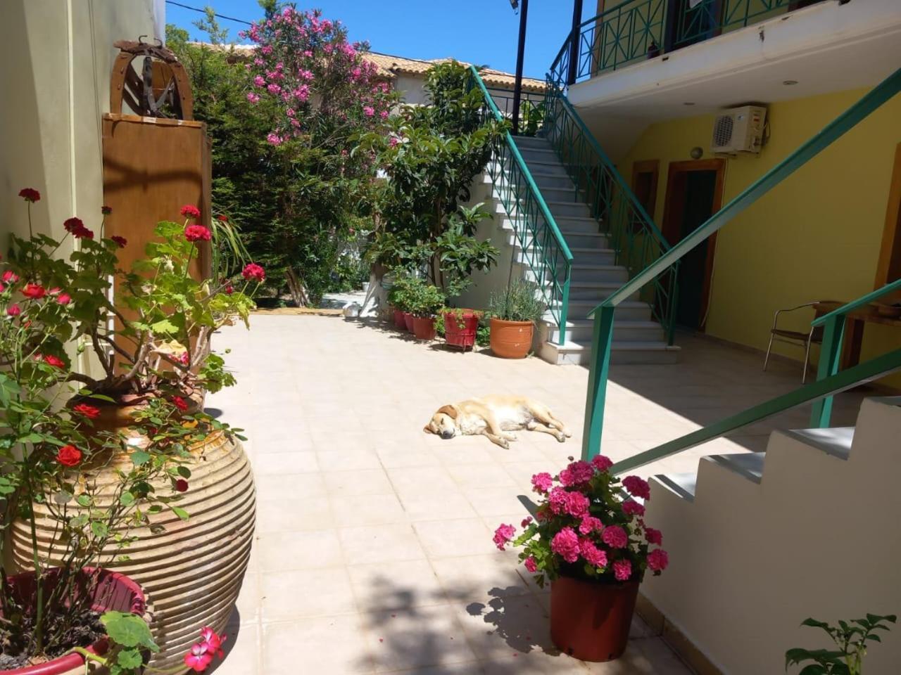 Lenia Studios Kalamitsi  Exterior photo
